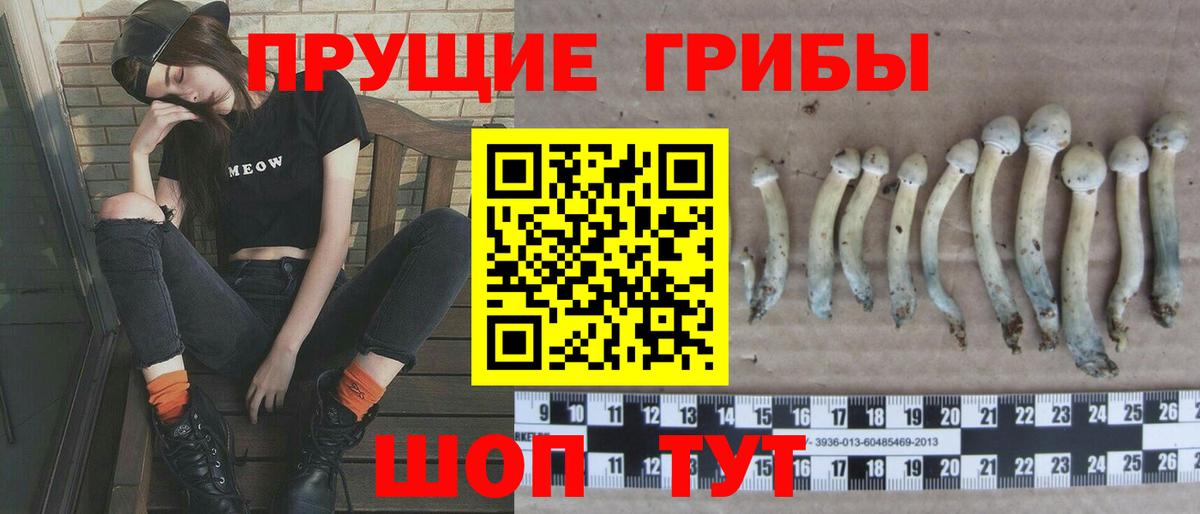 Псилоцибиновые грибы MAGIC MUSHROOMS  Вход с VPN  Вичуга 