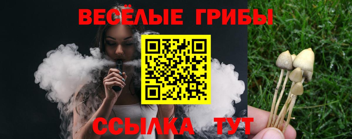 Псилоцибиновые грибы Magic Shrooms Вичуга